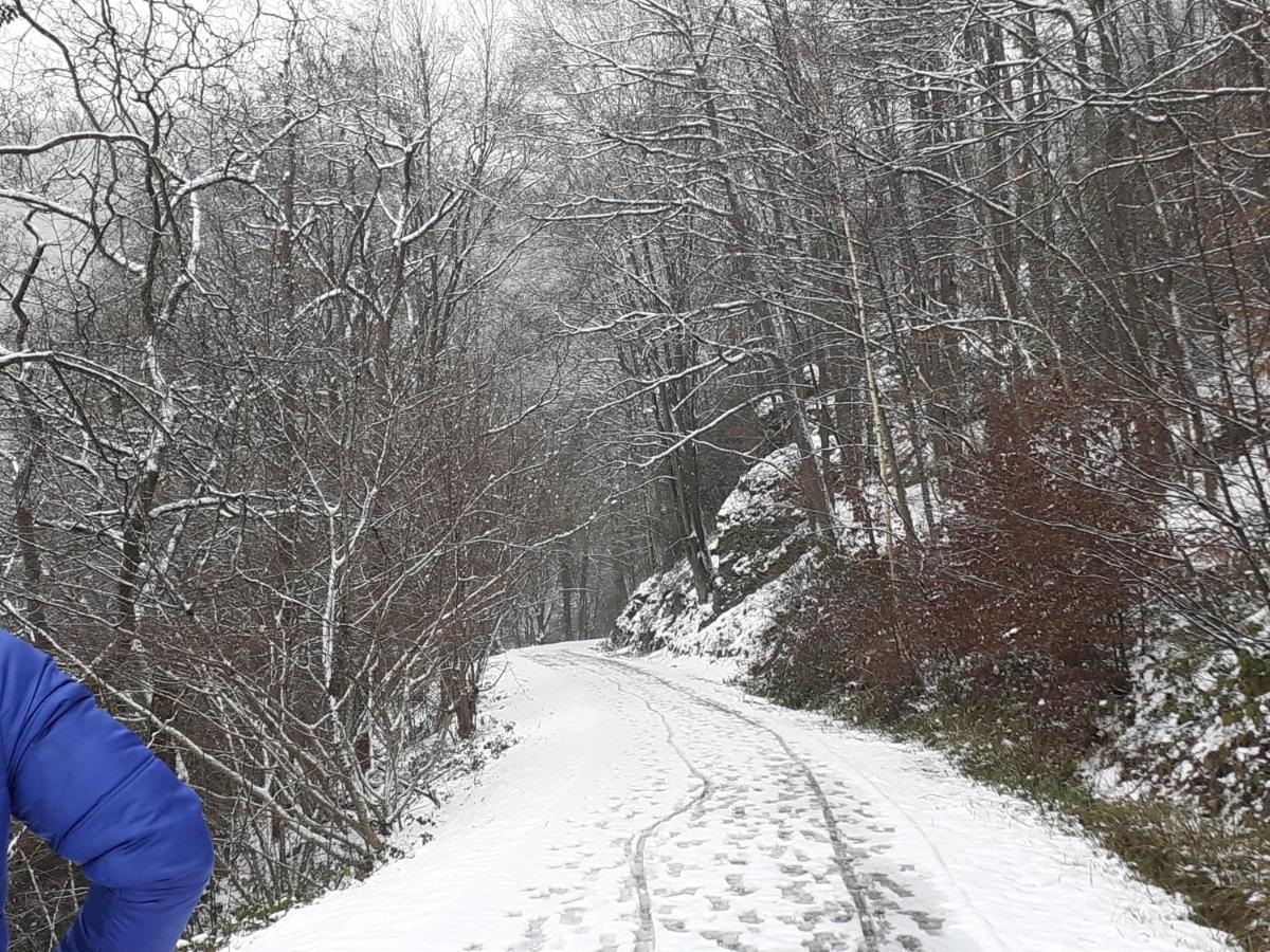Gite Vallee Et Semoy Tournavaux Exteriör bild